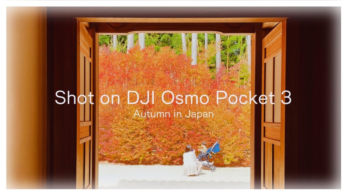 DJI Osmo Pocket 3 D-Log M | Autumn in Japan (4K ASMR) DJI Osmo Pocket 3 D-Log M | Autumn in Japan (4K ASMR)
