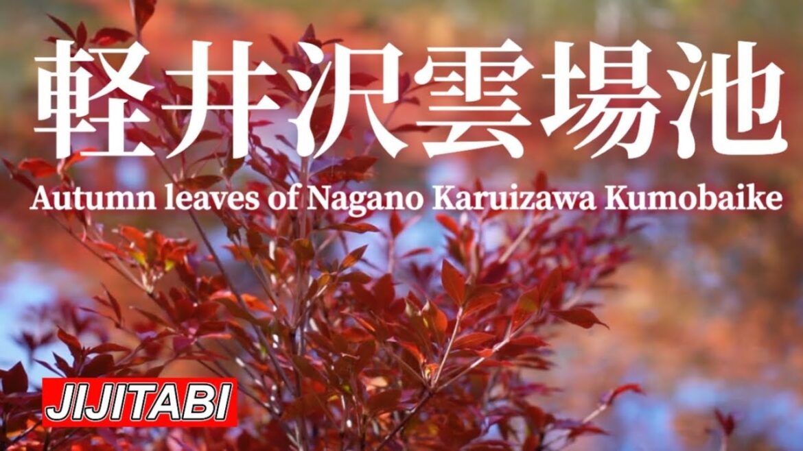 軽井沢雲場池の紅葉Autumn leaves of Nagano Karuizawa Kumobaike 軽井沢雲場池の紅葉Autumn leaves of Nagano Karuizawa Kumobaike
