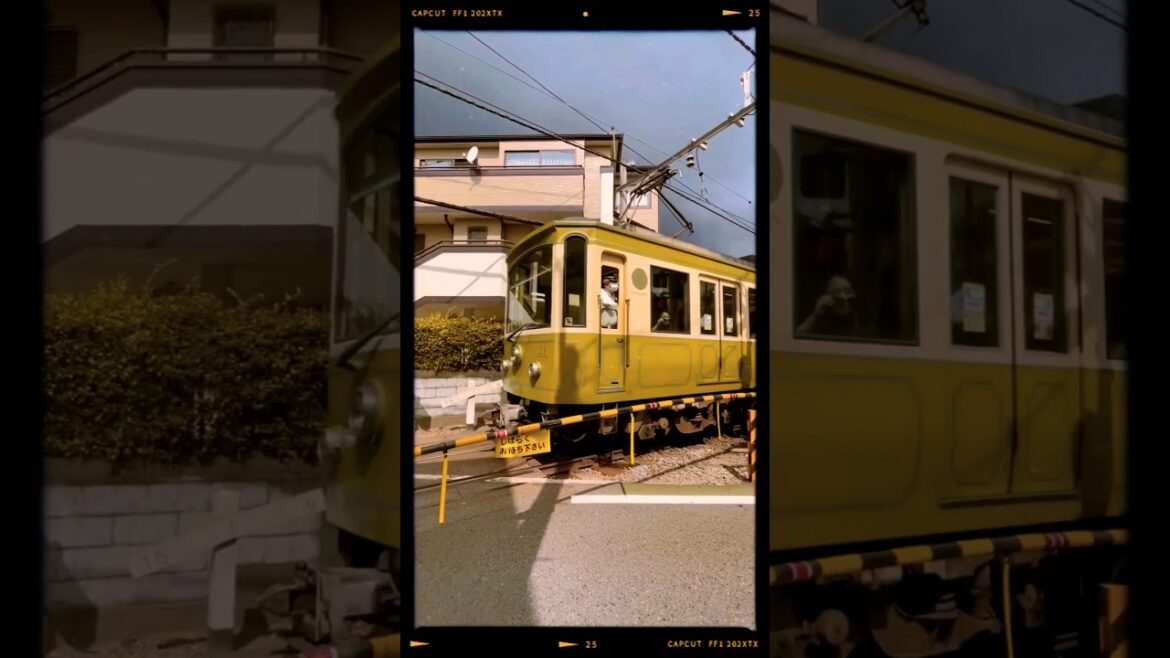 Late summer in Tokyo #tokyo #japan #travel #traveling #adventure #explore #japantravel #japanvlog Late summer in Tokyo #tokyo #japan #travel #traveling #adventure #explore #japantravel #japanvlog