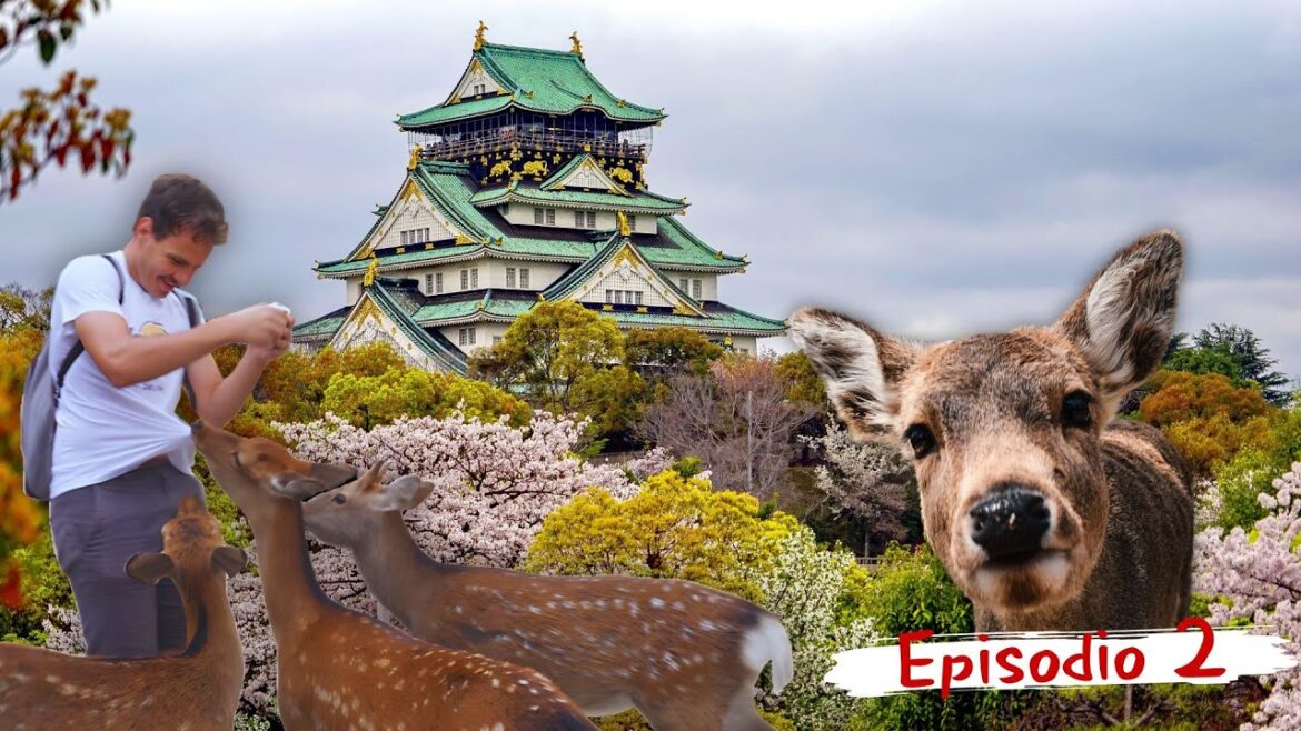 PRIMA VOLTA IN GIAPPONE: NARA & OSAKA - Vlog #2