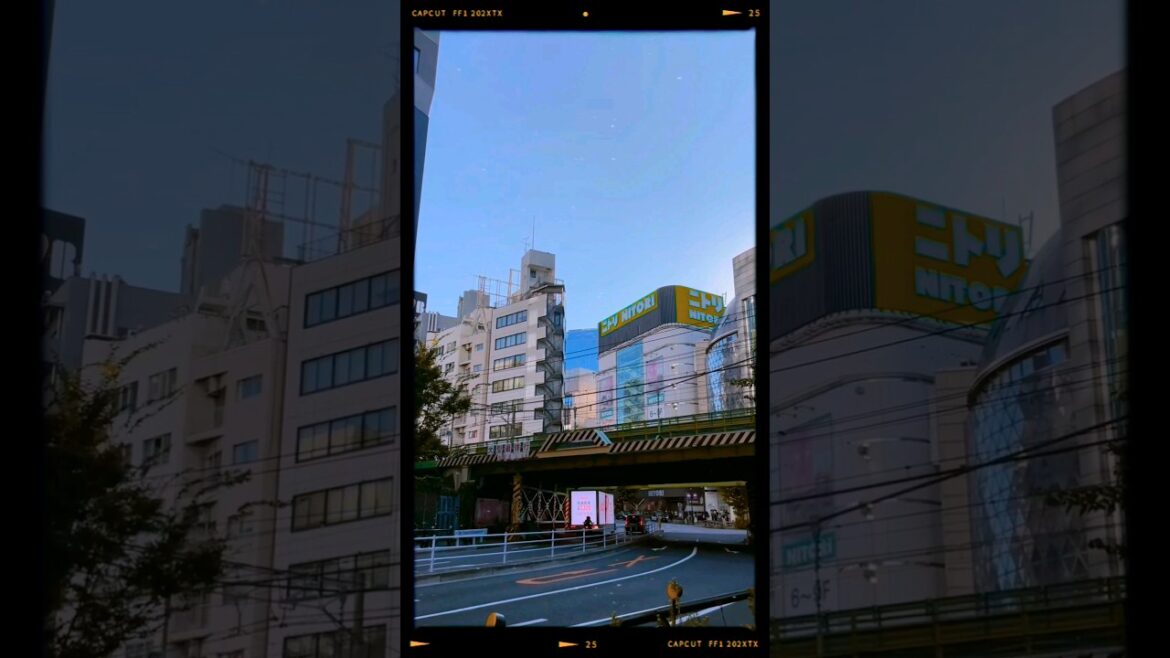 Late summer in Tokyo #tokyo #japan #travel #traveling #adventure #explore #japantravel #japanvlog Late summer in Tokyo #tokyo #japan #travel #traveling #adventure #explore #japantravel #japanvlog