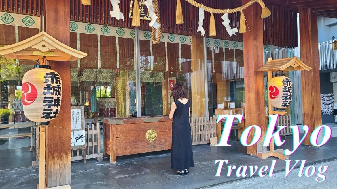 Tokyo Travel Vlog | Kagurazaka tour | Visiting Shrine | Cozy cafe, bakery and French patisserie