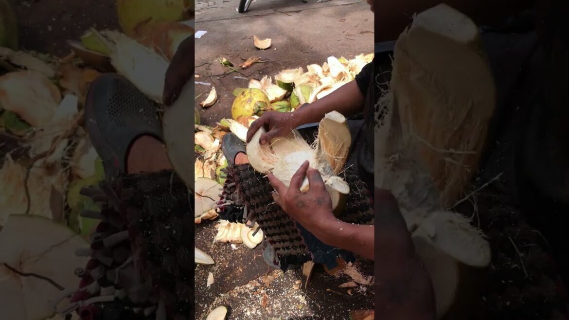 Fresh coconut cutting skill #shorts #streetfood #coconut #coconut #viral Fresh coconut cutting skill #shorts #streetfood #coconut #coconut #viral