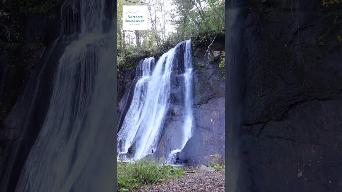 北海道の絶景。滝の音と鳥のさえずり癒しの時間。[ 鱒見の滝／北海道札幌 ] #shorts  #hokkaido #waterfall #癒しの自然音
