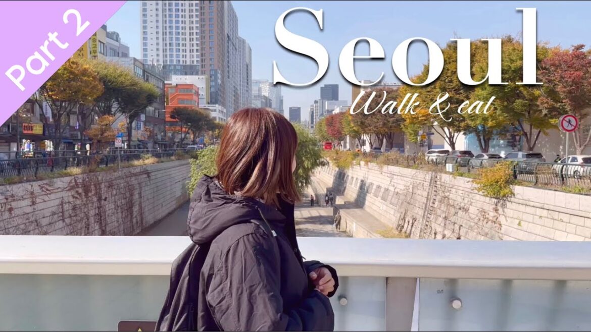 【Korea trip】食べ歩きVlog人気エリア１周｜活気のある広蔵市場で食べ過ぎ　part2