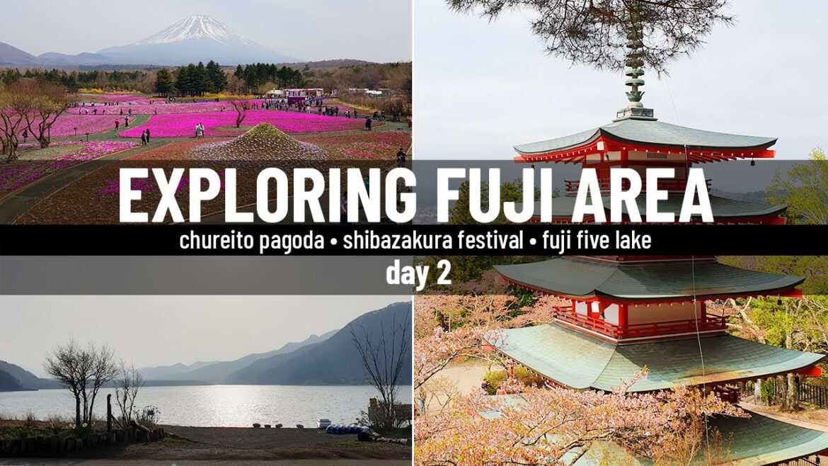Exploring Fuji: Chureito Pagoda, Shibazakura Festival and Fuji Five Lake 🌸🗻