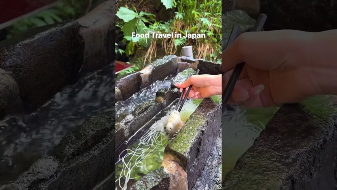 Tokyo Street Food Tour | Exploring Osaka Food Scene #Shorts #Travel #Vlog #Travelvlog #Japantravel