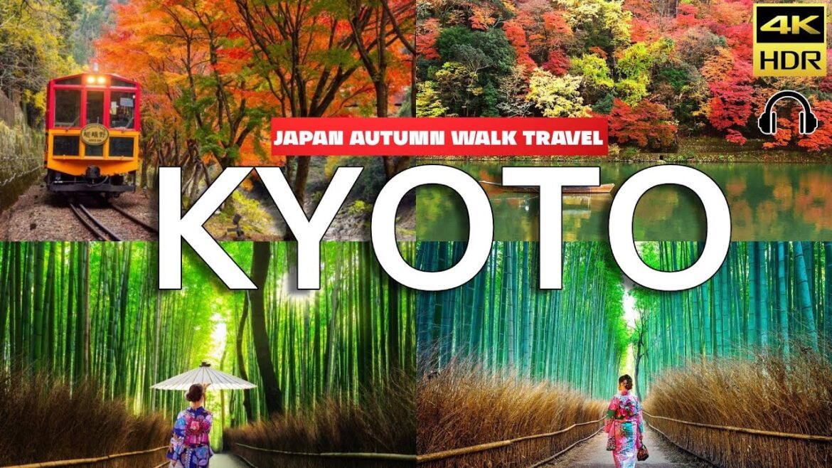 4K Kyoto Autumn 🍁🍁🍁 秋の京都旅行 京都嵐山散歩 Fun in the Arashiyama Bamboo Forest Japan 2023 紅葉色付き訪日客に人気の京都嵐山を歩く