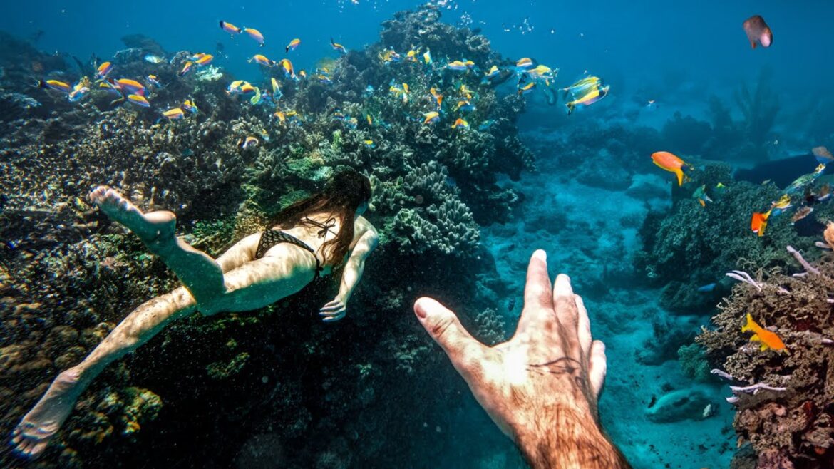 OKINAWA - The Paradise