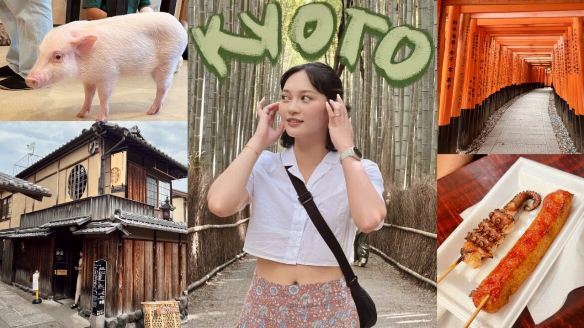 I’m in love with Kyoto – Mini Pig Cafe, Nishiki Market, Arashiyama | Japan Vlog I'm in love with Kyoto - Mini Pig Cafe, Nishiki Market, Arashiyama | Japan Vlog
