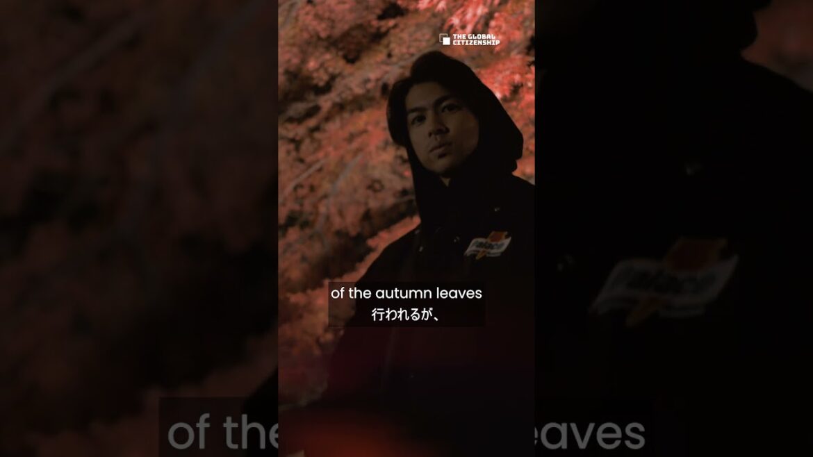 The Maple Leaf Corridor during Autumn at Mt Fuji is a MUST GO place to visit #shorts #japan #mtfuji