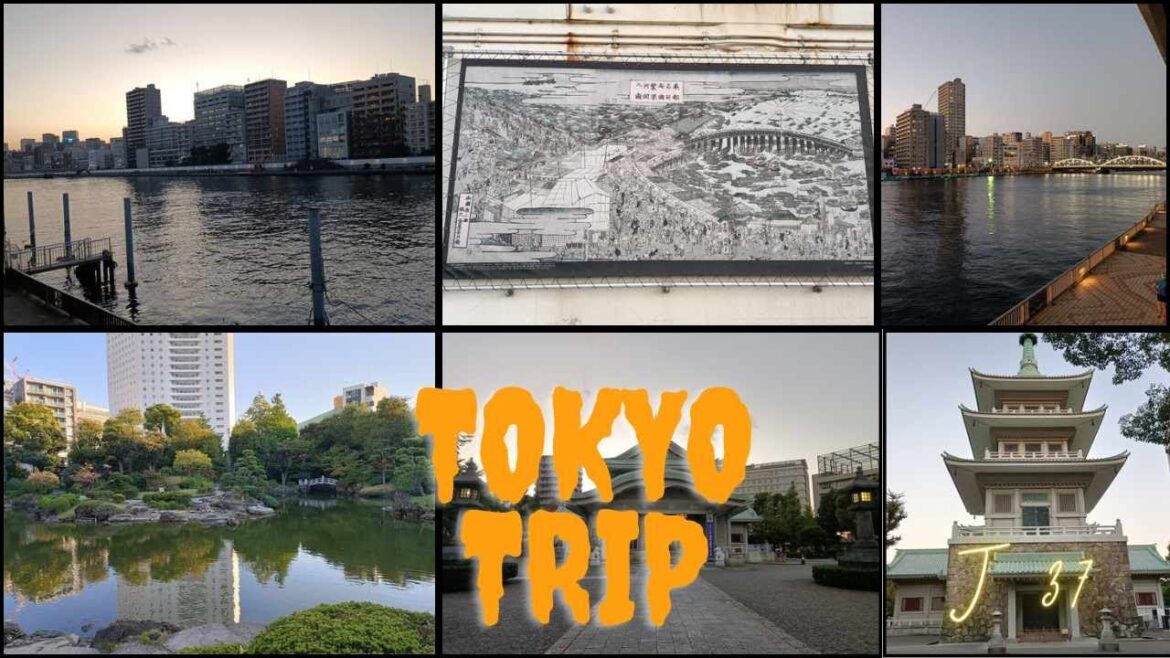 ⛩️JAPAN TRIP⛩️ - VLOG 28 - Jours 37 : Ryogoku, balade chez les Sumo !  🇯🇵 🗻