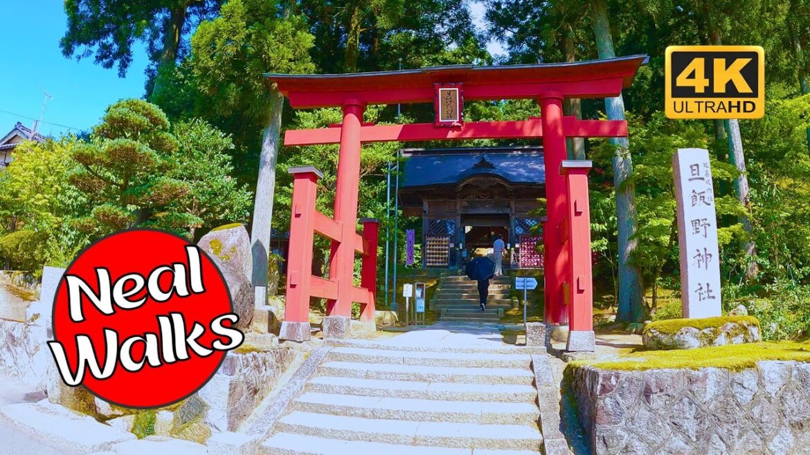 Exploring the Mystical Asaino Shrine in Agano City [4K 60FPS]