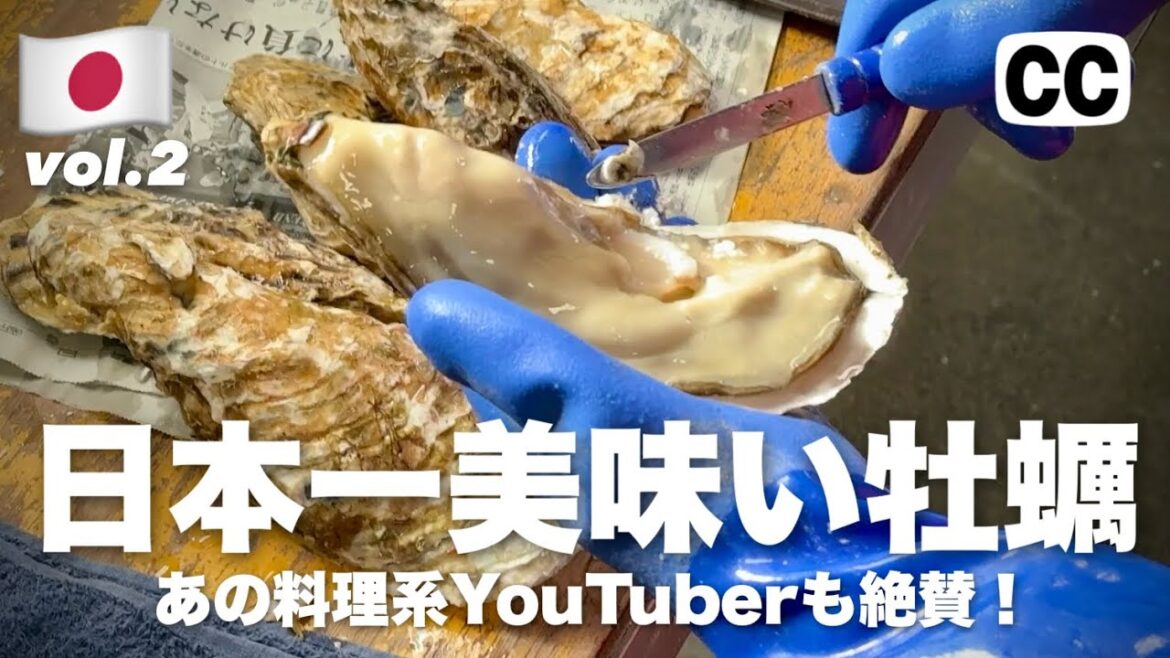 【🇯🇵2023釧路 旅行 北海道 グルメ 一人旅 2日目】日本一美味い牡蠣 あのYouTuberも絶賛!厚岸の牡蠣も! 牡蠣小屋で生牡蠣 asmr Vlog 4K 【🇯🇵2023釧路 旅行 北海道 グルメ 一人旅 2日目】日本一美味い牡蠣 あのYouTuberも絶賛!厚岸の牡蠣も! 牡蠣小屋で生牡蠣 asmr Vlog 4K