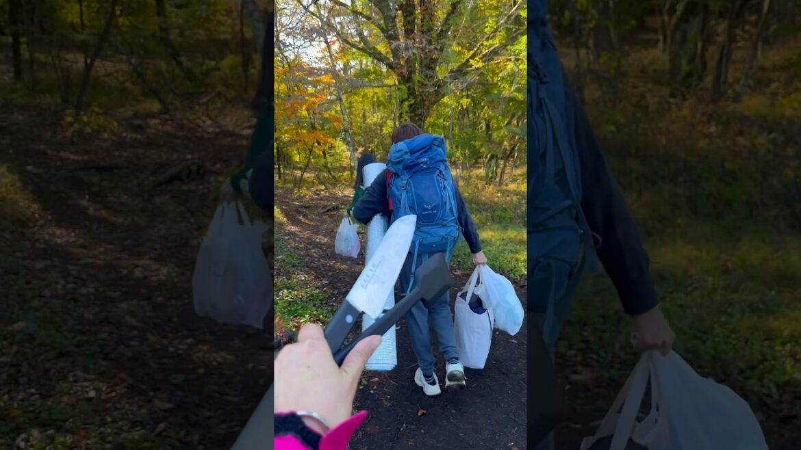 Camping near Mount Fuji #destination #camping #japan