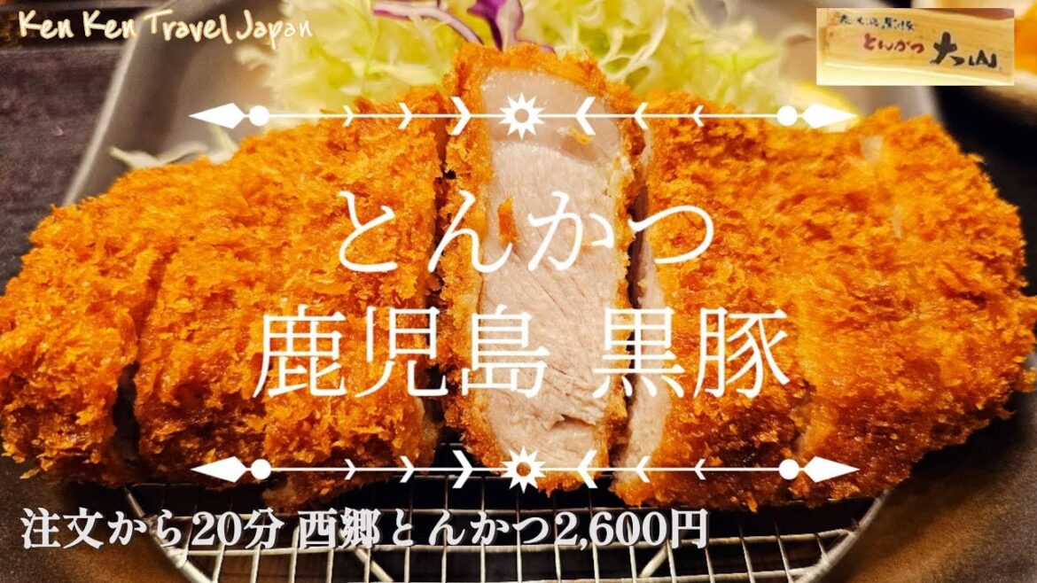 鹿児島【１人旅】黒豚とんかつ食べ比べ 大人１人スーツで観覧車に乗れるのか 白熊