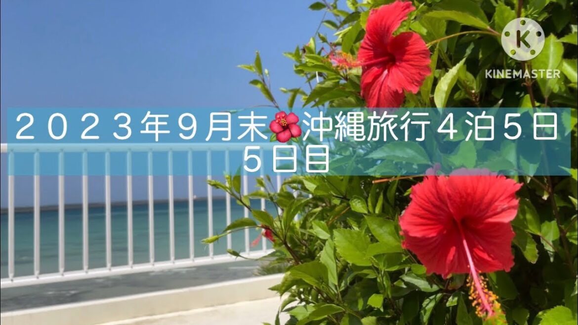 沖縄旅行４泊５日🌺2023年９月末✈️５日目