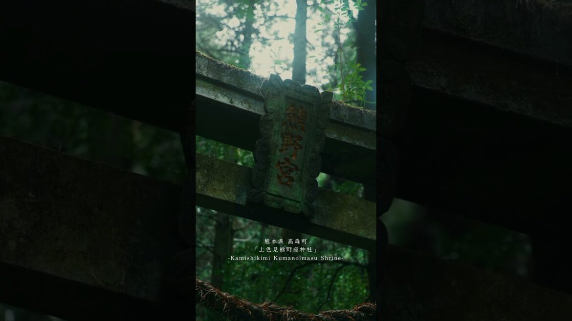 Santuario con un estilo Ghibli ⛩️ | japan