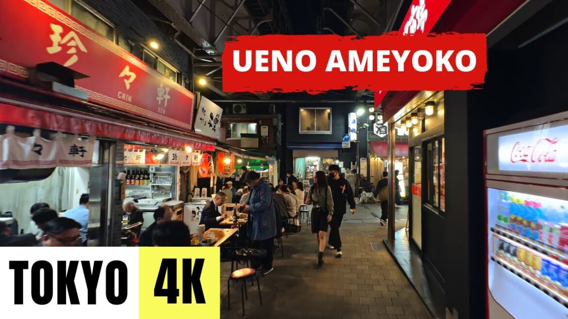 TOKYO, JAPAN 🇯🇵 [4K] UENO AMEYOKO — Walking Tour