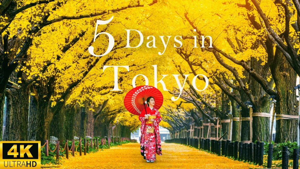 How to Spend 5 Days in TOKYO Japan | A Step-by-Step Guide to 5 Amazing Days How to Spend 5 Days in TOKYO Japan | A Step-by-Step Guide to 5 Amazing Days