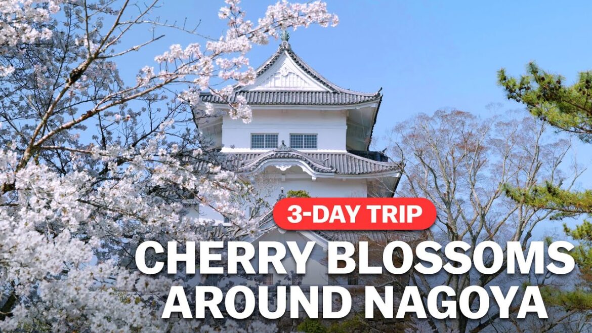 Cherry Blossoms around Nagoya | japan-guide.com Cherry Blossoms around Nagoya | japan-guide.com