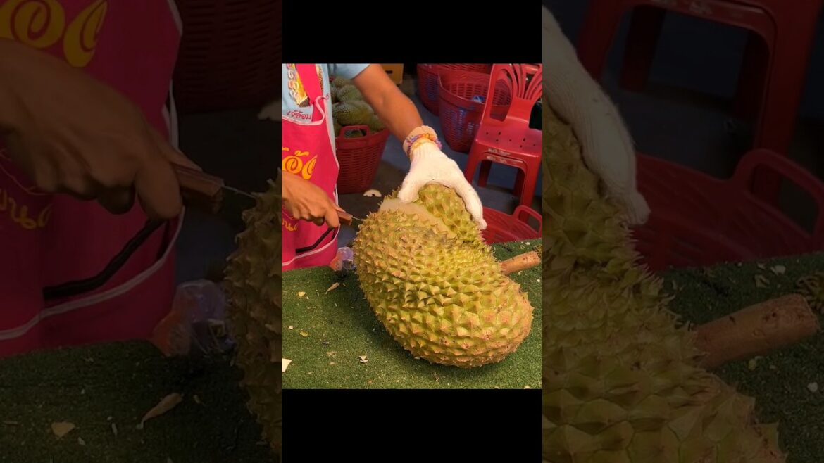 The world's smelliest fruit durian! Fruit Cutting Skills