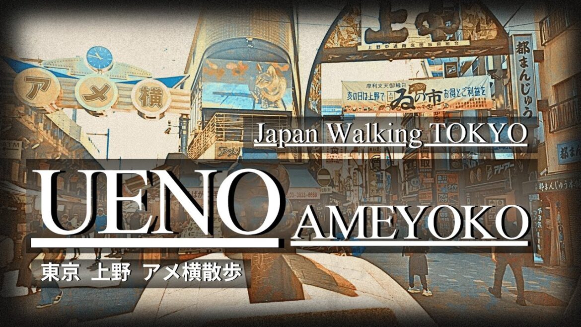 [4K] AMEYOKO in UENO TOKYO JAPAN ～上野 アメ横散歩～ 2023.11