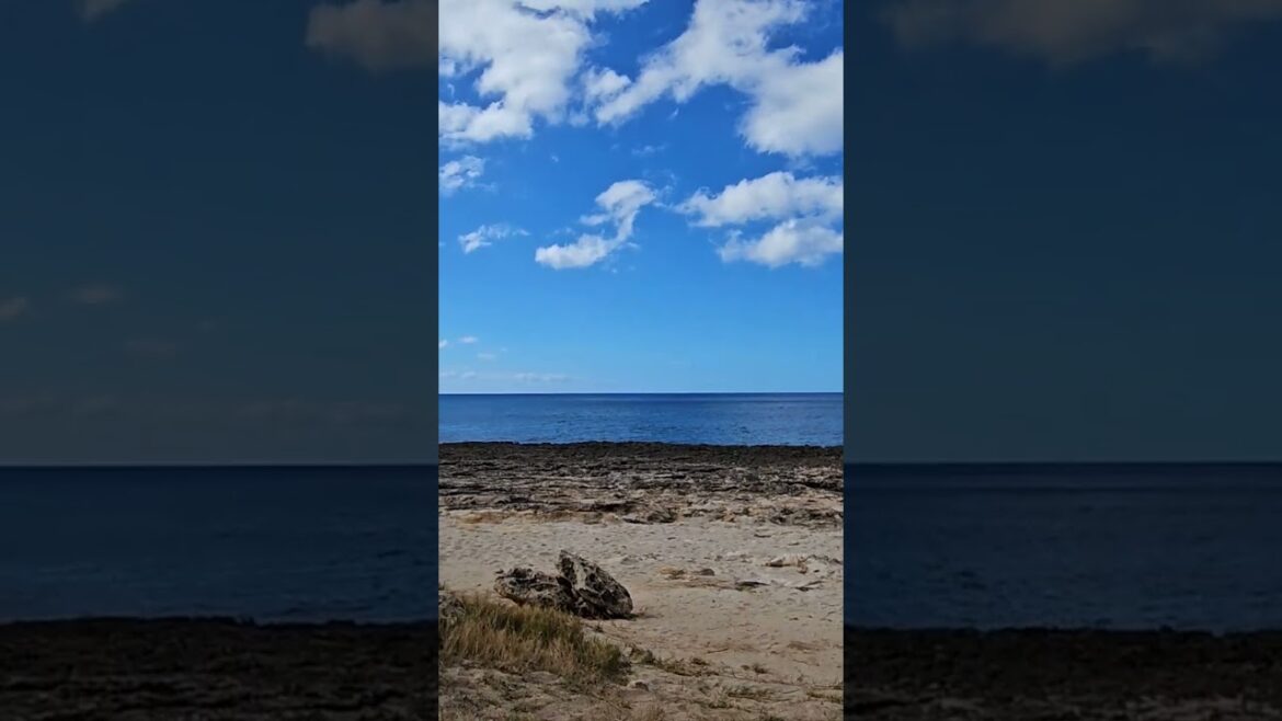 #yokohama #hawaii #oahu #travelvlog #travel