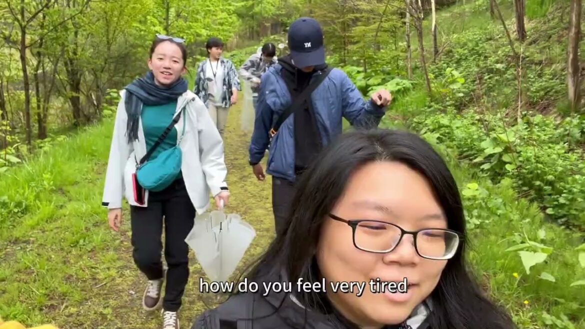 Japan Vlog | Shikotsu-Toya National Park | Day 2 | HokkaidoNatureDiscovery