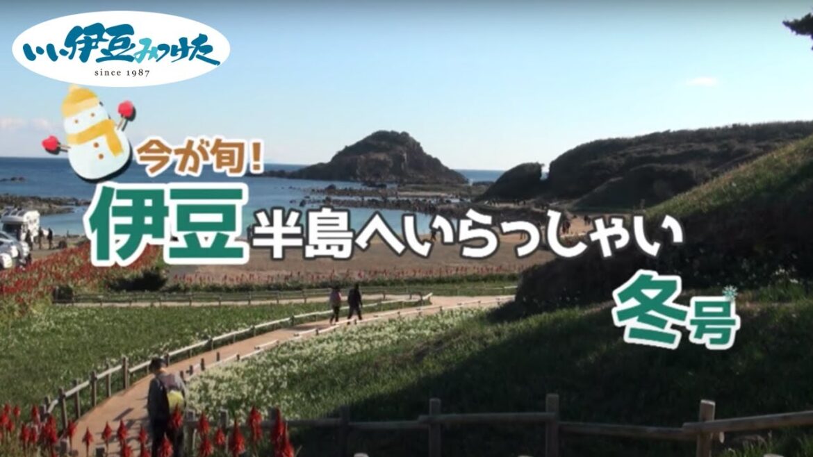 【いい伊豆】今が旬！伊豆半島へいらっしゃい　2022冬号　前編