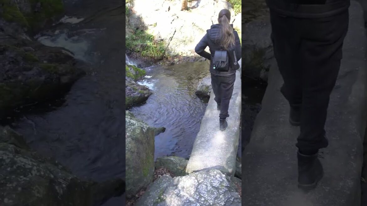 Hamamatsu Garden #japan