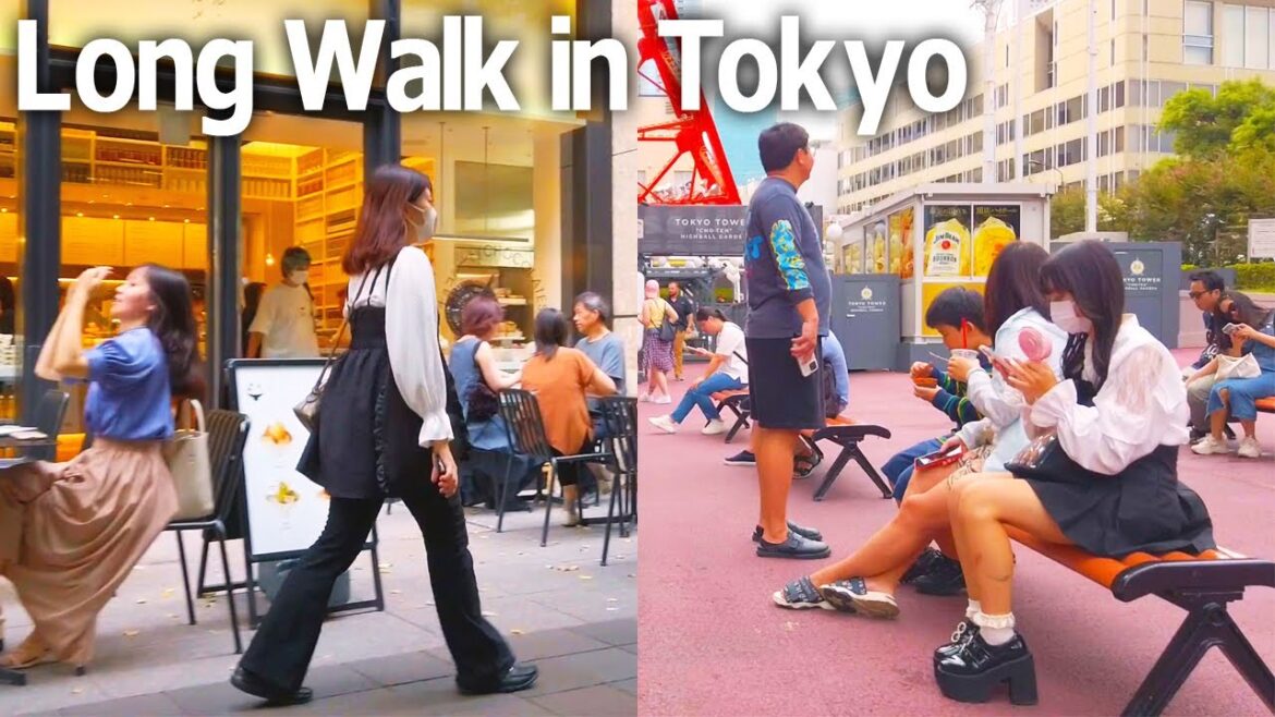 Tokyo walking tour - Tokyo Tower, Tokyo Station. Landmark Tour♪ (Oct. 2023)