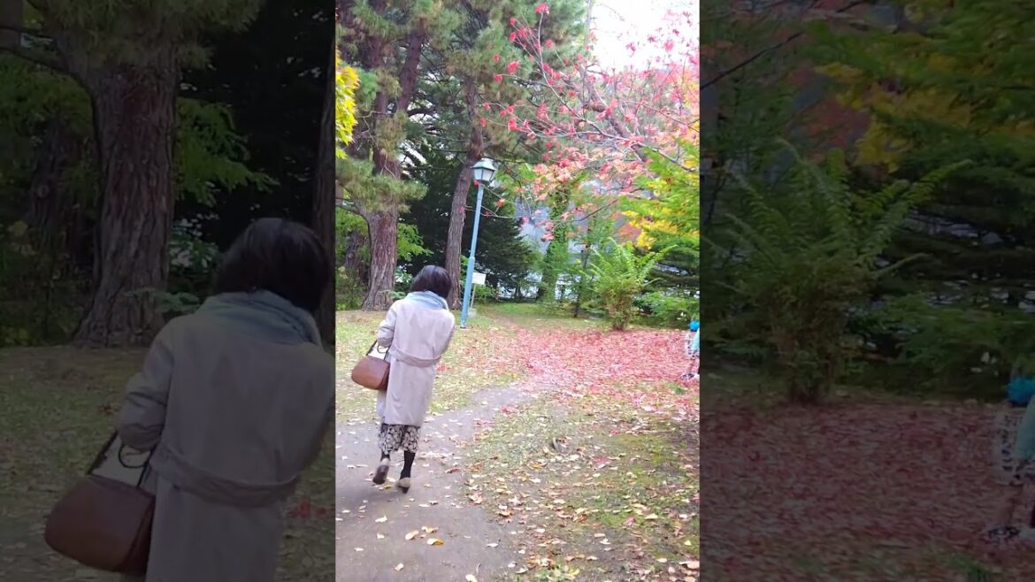 Former Hokkaido Government Grounds #japan