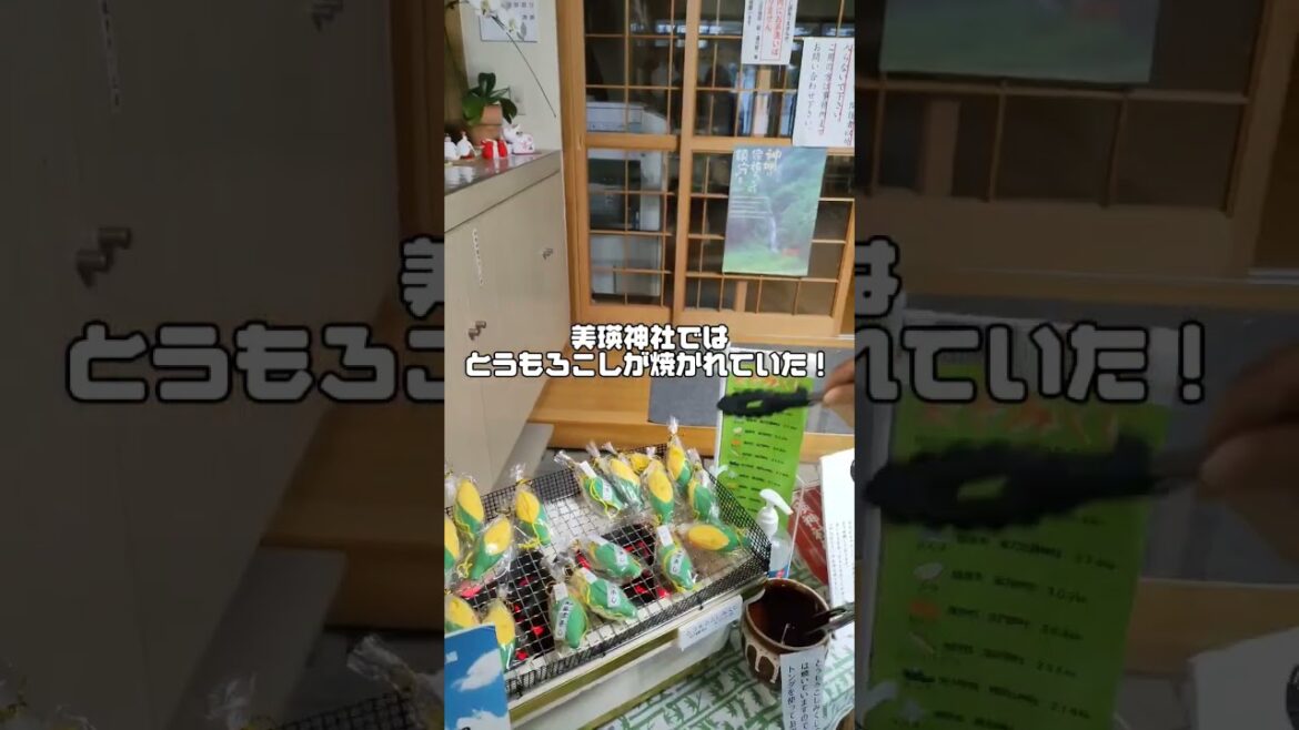 【えぞみくじ】たむさんが好きな北海道のあま～い、あれ・・・！ #北海道生活 #北海道観光 #vlog#神社巡り