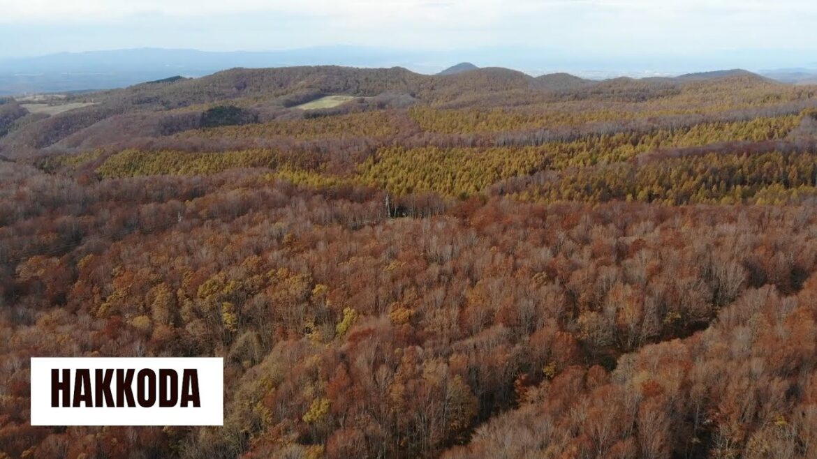 Japan's Hidden Gems: Mesmerizing Drone footage of Matsushima Hakkoda and Nagano