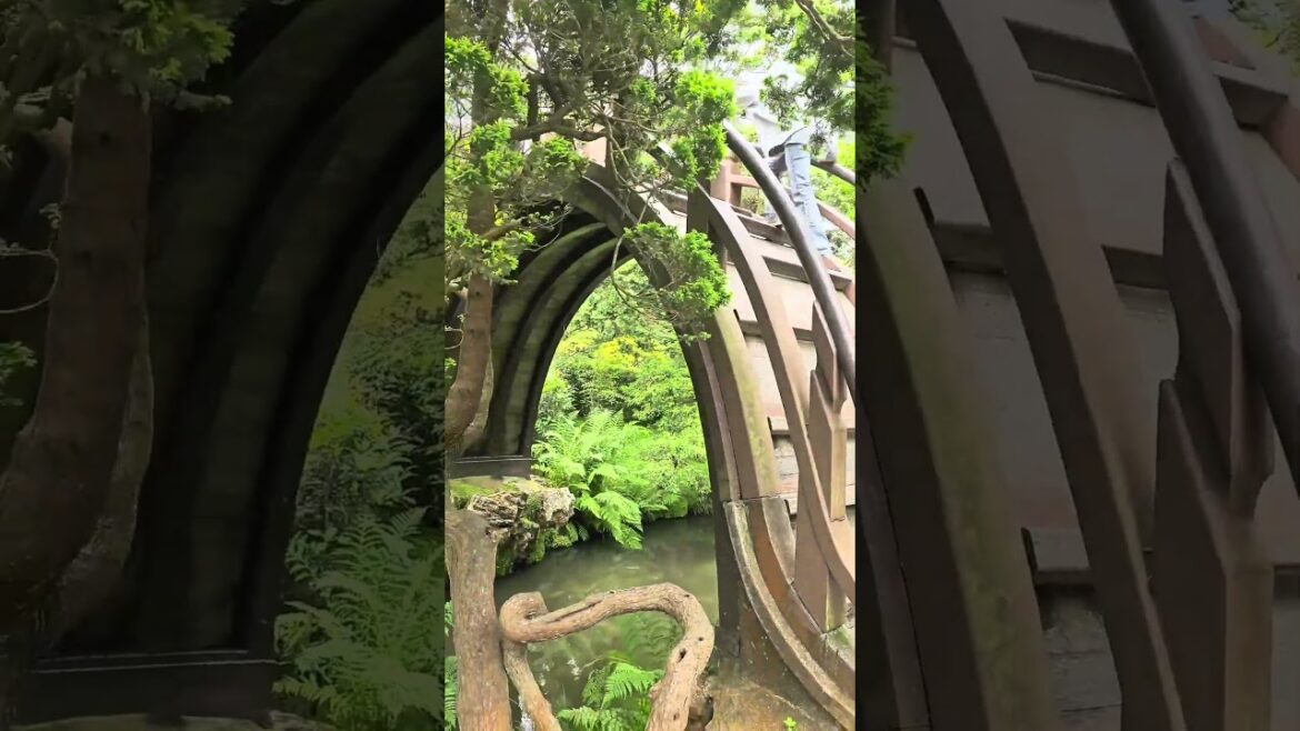 JAPANESE TEA GARDEN  SAN FRANCISCO TOUR ~ VISUAL POETRY