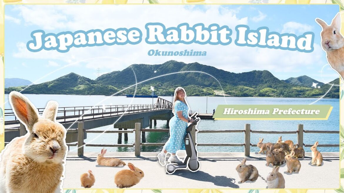 🐰 Exploring Japan's Rabbit Island 🐰 | Okunoshima island | Hiroshima Prefecture