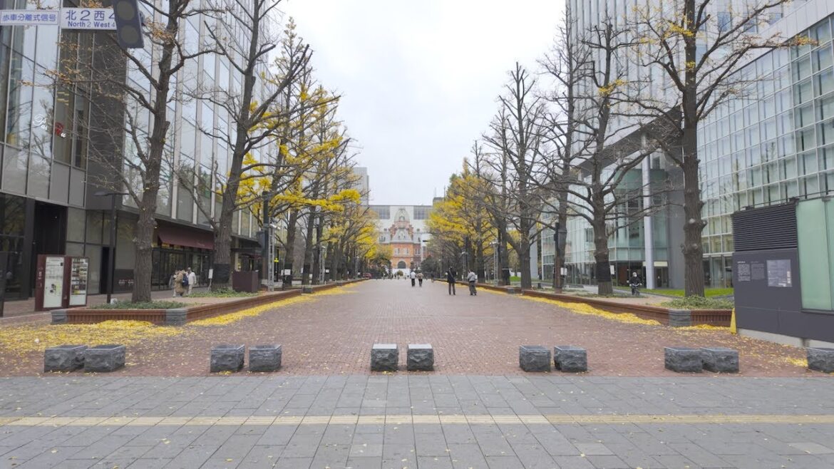 【大通駅→札幌駅】初冬の札幌の風景、街並みを撮り歩く。【街歩き】 【大通駅→札幌駅】初冬の札幌の風景、街並みを撮り歩く。【街歩き】