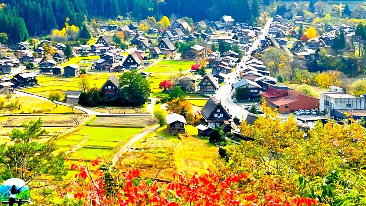 Stay in the MOST BEAUTIFUL ancient village in Japan😍shirakawa go.#traveljapan