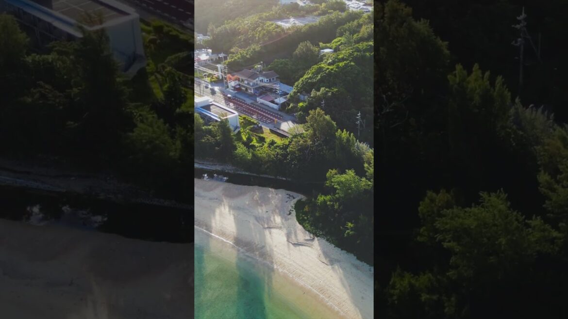 4K Drone | Good morning ! #Okinawa  #djimini3pro