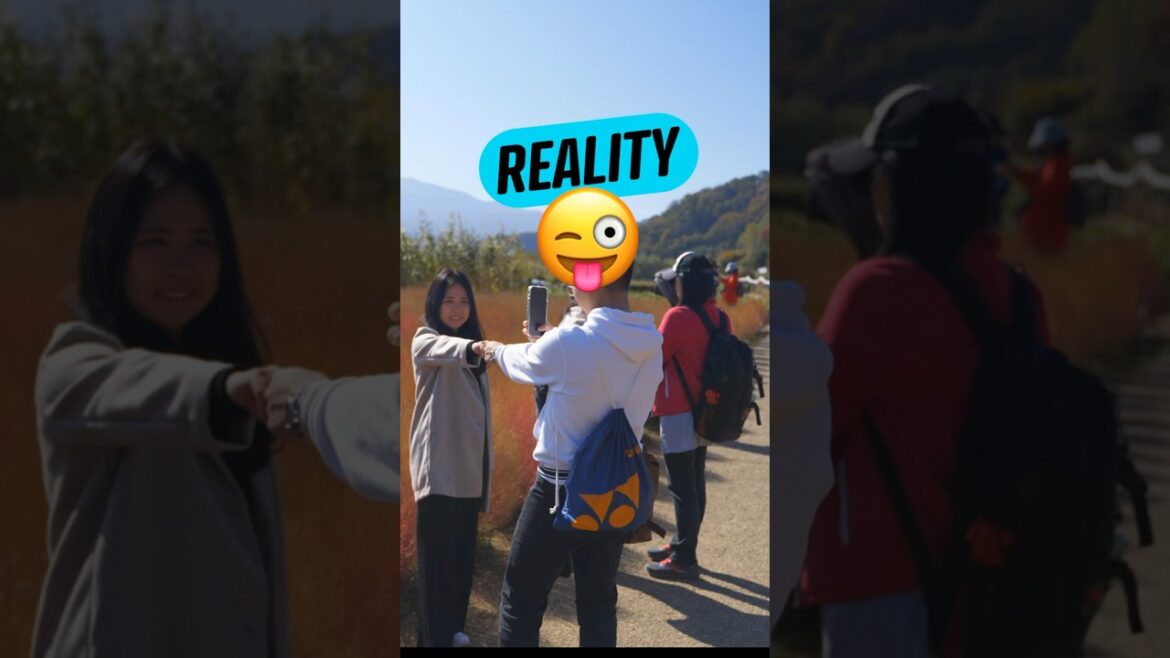Mt. Fuji Social media vs Reality in Japan 🗻 #shorts #japan #fuji