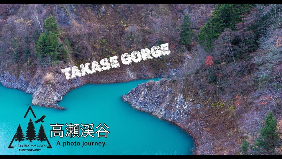 Takase Gorge In Late Autumn:A Symphony of Colors and Majestic Peaks 晩秋の高瀬渓谷紅葉2023年@TanerYalcinPhoto Takase Gorge In Late Autumn:A Symphony of Colors and Majestic Peaks 晩秋の高瀬渓谷紅葉2023年@TanerYalcinPhoto