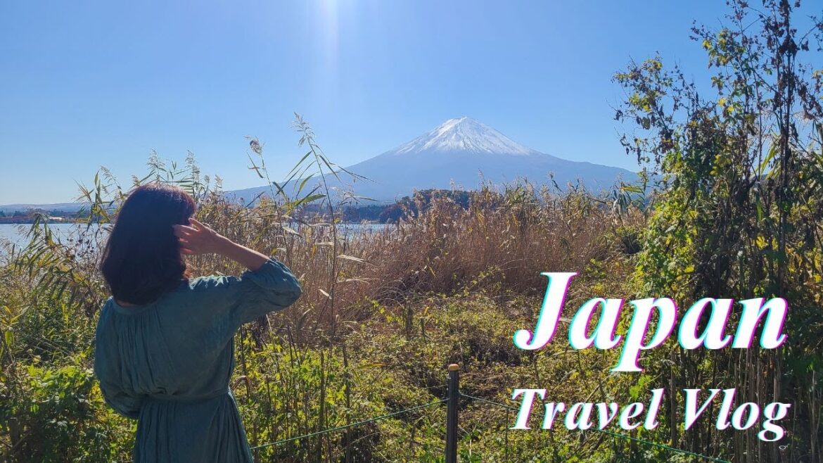 Japan Travel Vlog | Mt. Fuji | Japan Autumn Leaves | Lake Kawaguchi | Michelin three star art museum Japan Travel Vlog | Mt. Fuji | Japan Autumn Leaves | Lake Kawaguchi | Michelin three star art museum