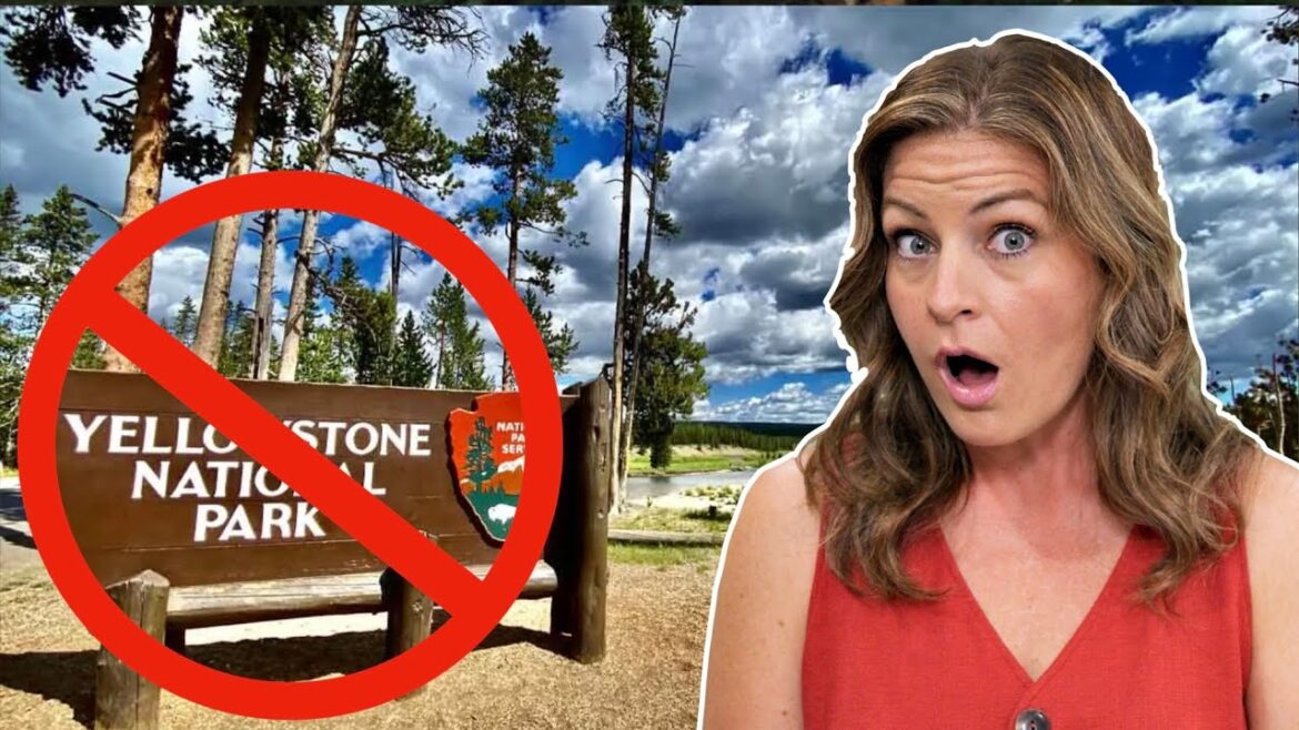 Own an RV? Beware Yellowstone National Park! Own an RV? Beware Yellowstone National Park!