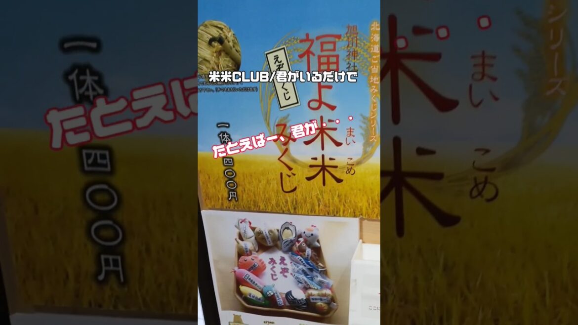 【えぞみくじ】旭川の特産品は北海道随一の生産量◯◯◯!! #北海道観光 #北海道生活 #vlog#神社巡り 【えぞみくじ】旭川の特産品は北海道随一の生産量◯◯◯!! #北海道観光 #北海道生活 #vlog#神社巡り