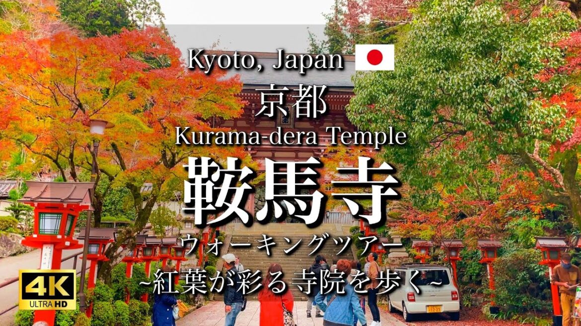 Kyoyo, Japan "Kurama-dera Temple" | Beautiful Autumn Leaves Season, Walking Tour [4K]