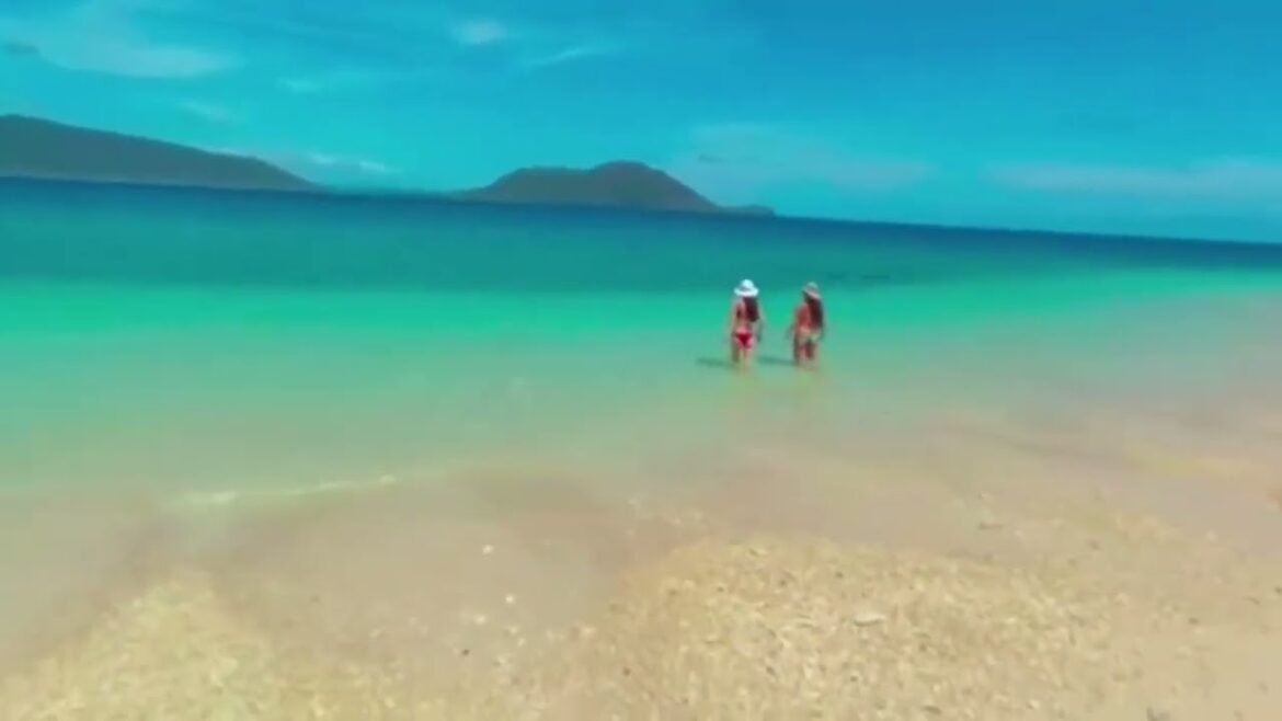 Virtual Reality – 360° 12K Fraser Island Great Barrier Reef | Oculus Quest 2 Virtual Reality - 360° 12K Fraser Island Great Barrier Reef | Oculus Quest 2