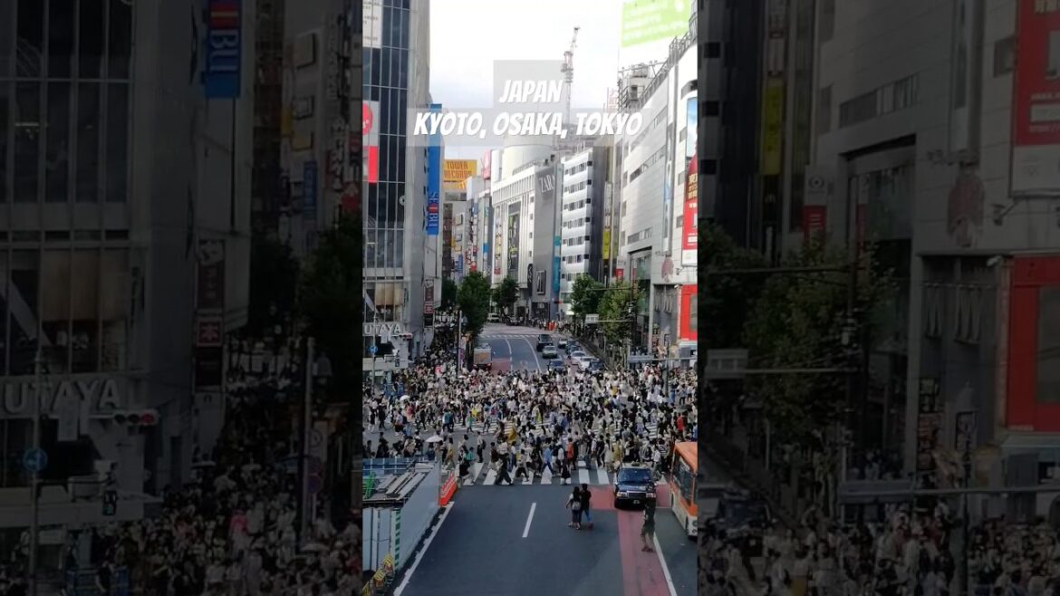 #japan #tokyo #osaka #kyoto #shibuya #travel #путешествия #trip #summervibes #shorts #shorttrip