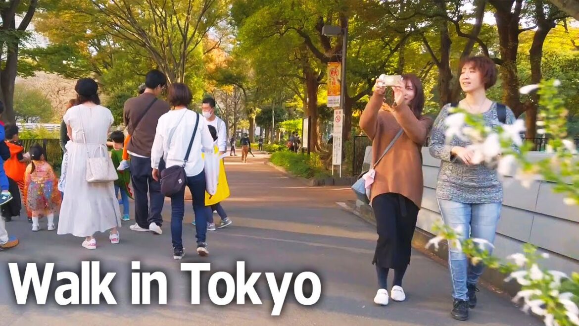 Tokyo walking tour – Tochomae to Meiji Jingu. Park for parents and children♪ (Oct. 2023) Tokyo walking tour - Tochomae to Meiji Jingu. Park for parents and children♪ (Oct. 2023)