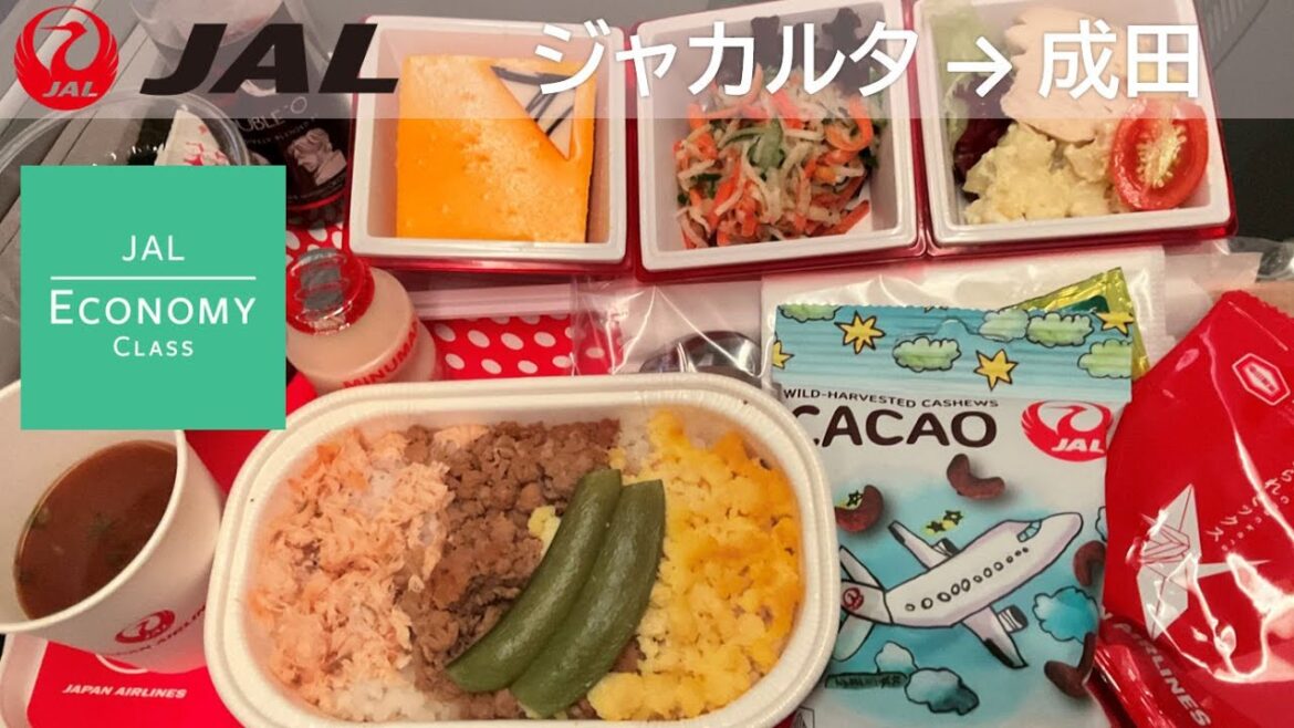 【JALエコノミークラス機内食】日本航空726便、ジャカルタ・スカルノハッタ国際空港→成田空港 Economy class in flight meal